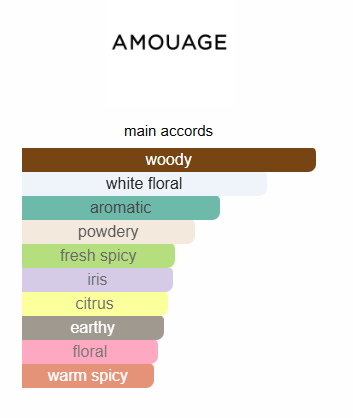 Amouage reflection men